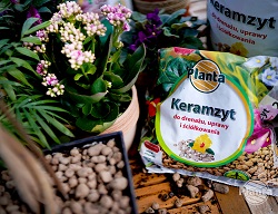 Keramzyt jest obojętny chemicznie