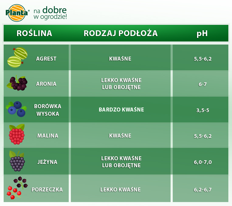 Aby dobrze rosły krzewy owocowe wymagają odpowiedniego pH podłoża