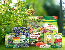 Nawożąc krzewy owocowe wybierzmy specjalistyczne nawozy.