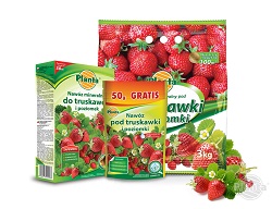Na rynku dostępne są nawozy dedykowane do uprawy truskawek i poziomek.