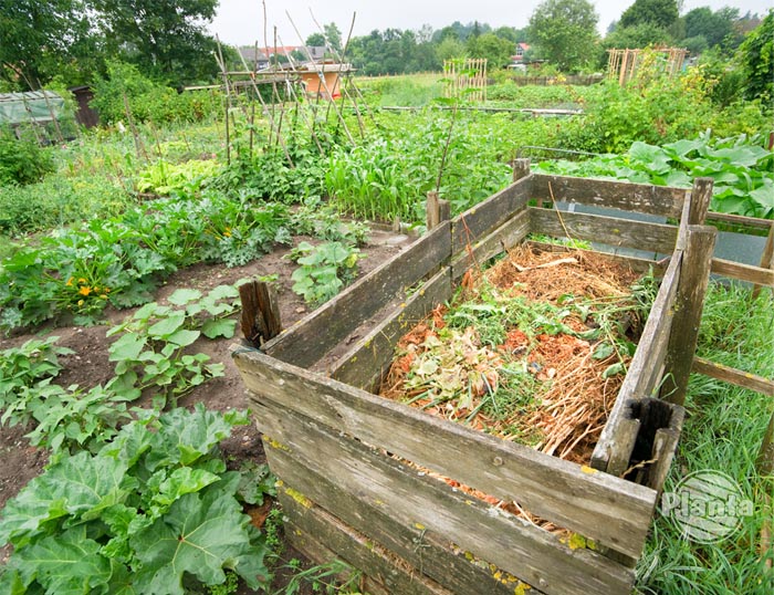 Kompostownik w ogrodzie pozwala zagospodarować odpadki organiczne z domu i z ogrodu