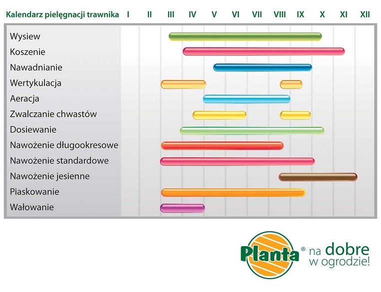 Kalendarz pielęgnacji trawnika