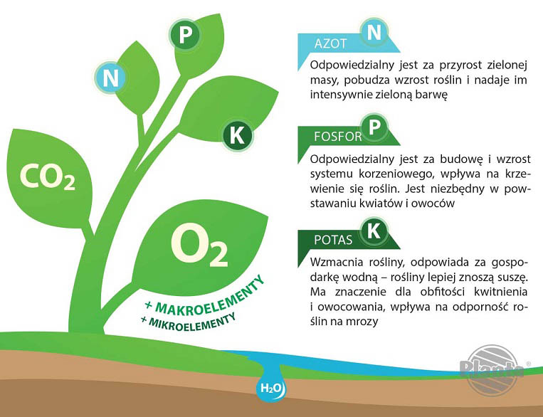 NPK to podstawowe pierwiastki Azot. Fosfor i Potas, które są podstawowymi składnikami budulcowymi roślin