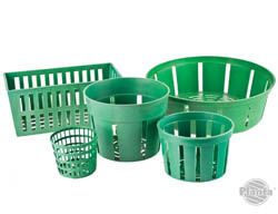 Aby zabezpieczyć cebulki przed gryzoniami (nornicami, karczownikami) warto zasadzić je w specjalnych ażurowych, plastikowych koszyczkach