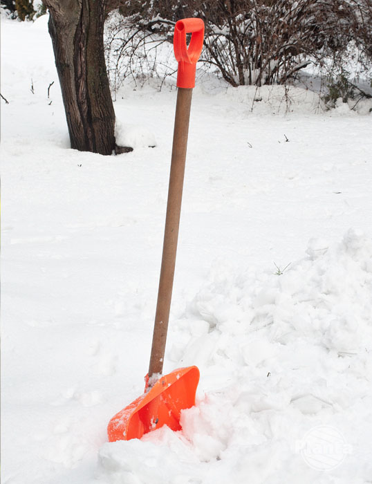 Łopata do śniegu to niezbędne narzędzie w zaśnieżonym ogrodzie
