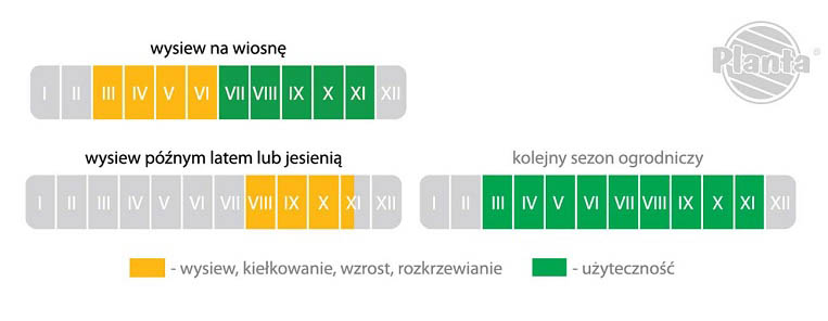 Siew i użytkowanie trawnika