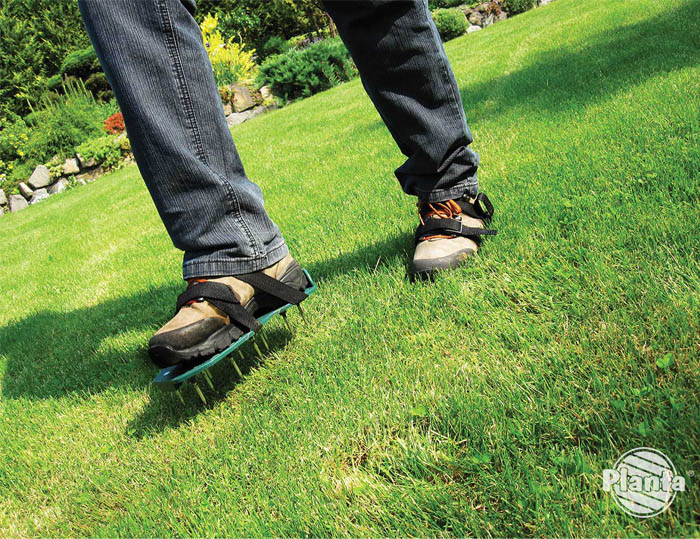 Sandały aeracyjne są przydatne w małych ogrodach