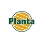 Planta