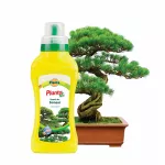Nawóz płynny do bonsai