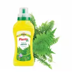 Nawóz płynny do paproci