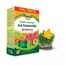 Nawóz mineralny na trawniki jesienny