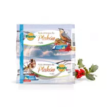 Kula zimowa dla ptaków - Planta