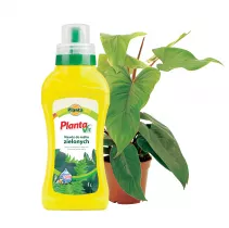 Nawóz płynny do roślin zielonych - Planta