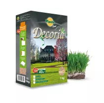 Trawa Decoria - Planta