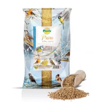 Proso żółte, ziarno - Planta