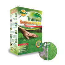 Trawa Trawnik Regeneracyjny - Planta