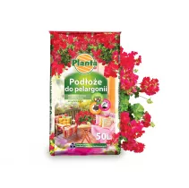  Podłoże do pelargonii - Planta