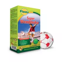 Trawa Super Wembleyka - Planta