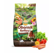 Obornik bydlęcy - Planta