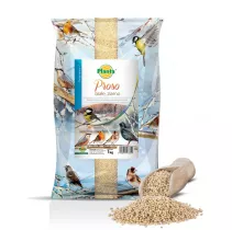 Proso białe, ziarno - Planta