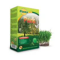 Trawa Park - Planta