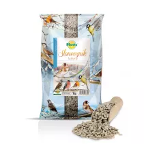 Słonecznik łuskany, ziarno - Planta