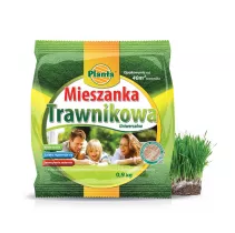 Trawa Mieszanka Trawnikowa - Planta