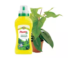 Nawóz płynny do roślin zielonych - Planta