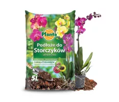 Podłoże do storczyków - Planta