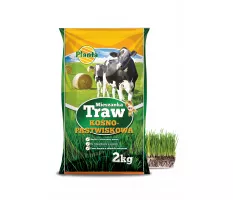 Mieszanka traw kośno - pastwiskowych - Planta