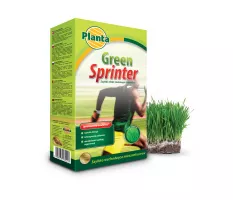 Trawa Green Sprinter - Planta
