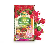 Podłoże do pelargonii - Planta
