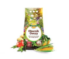 Obornik owczy - Planta