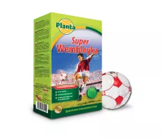 Trawa Super Wembleyka - Planta