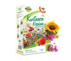 Kwitnąca Kraina - Bukiety lata - Planta