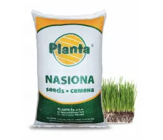 Mieszanka traw Zielone miasto - Planta