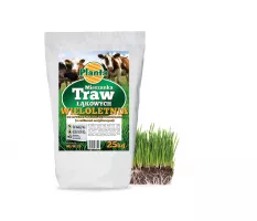 Mieszanka traw łąkowych Wieloletnia - Planta