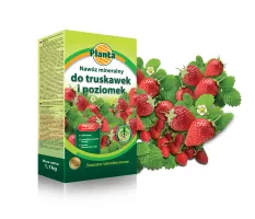 Nawóz mineralny do truskawek i poziomek - Planta