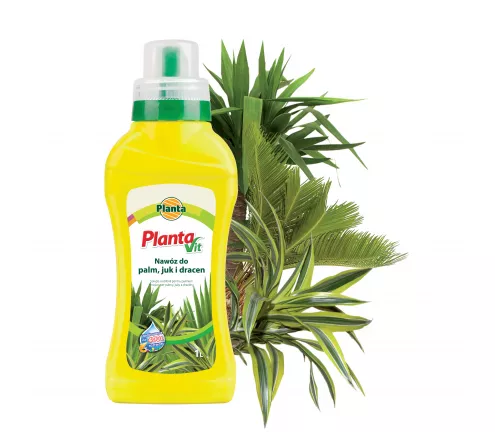 Nawóz płynny do palm, juk i dracen - Planta