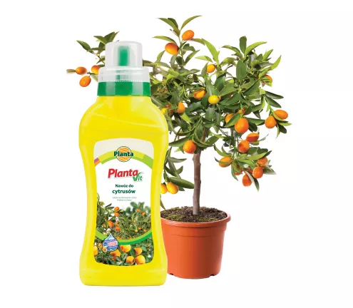 Nawóz płynny do cytrusów - Planta