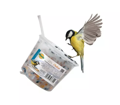 Dzwonek tłuszczowy - Planta