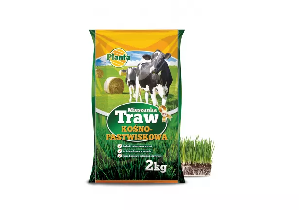 Mieszanka traw kośno - pastwiskowych - Planta