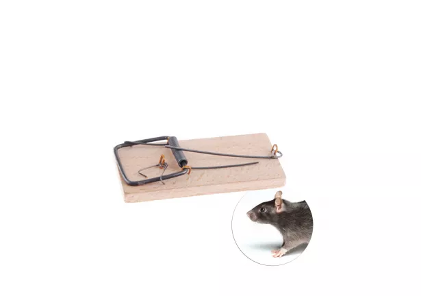 Drewniana łapka na myszy Hunter