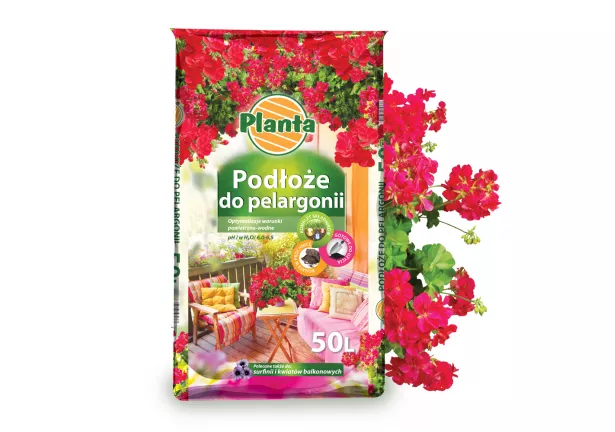 Podłoże do pelargonii - Planta