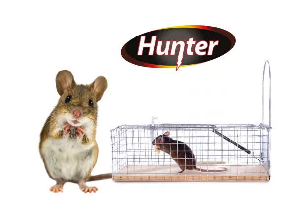Żywołapka na szczury i inne gryzonie - Hunter