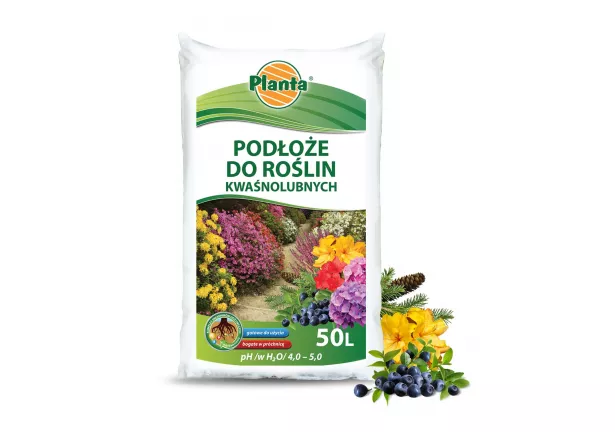 Podłoże do roślin kwaśnolubnych - Planta