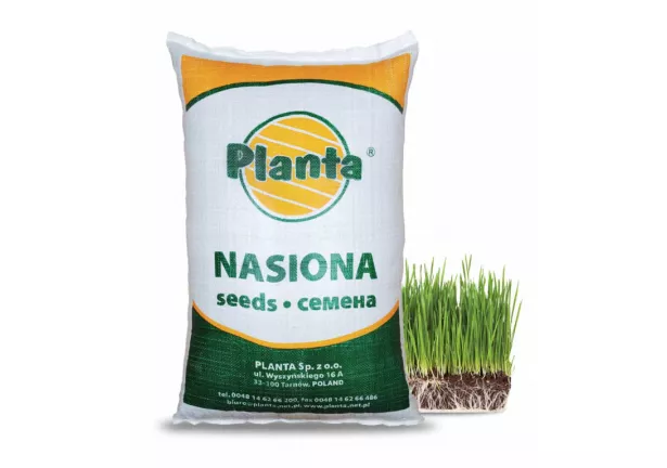Mieszanka traw Zielone miasto - Planta