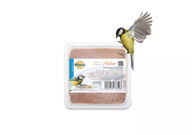 Blok energetyczny dla dzikich ptaków - Planta