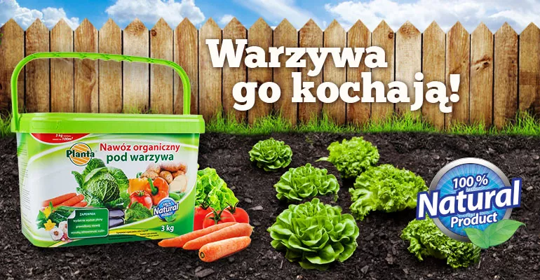 Nawóz organiczny pod warzywa