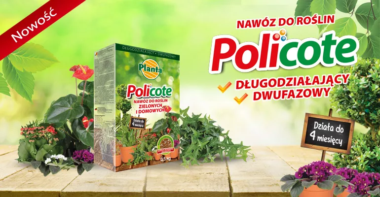 Policote nawóz do roślin zielonych i domowych